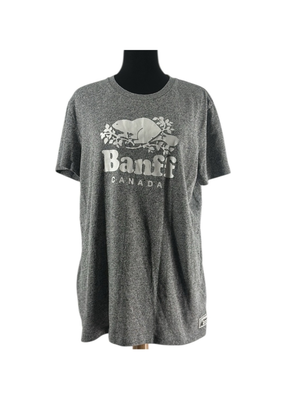 Roots T-Shirt Banff salt and pepper travel outdoor mountains sz xl